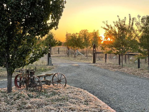 Maple Lane Farm Stay - Accommodation Port Hedland 0