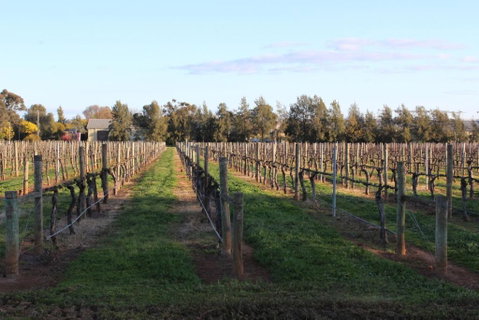 Milawa Vineyard Views - Guesthouse 1 - Accommodation Port Hedland 2