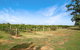 Milawa Vineyard Views - Guesthouse 2 - thumb 0