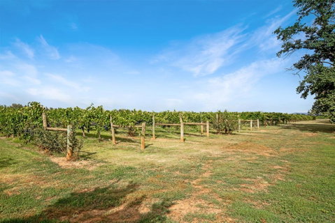 Milawa Vineyard Views - Guesthouse 2 - Accommodation Port Hedland 0