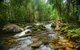 Misty Mountains Hideaway - thumb 0