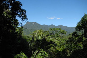 Mossman Gorge Bed And Breakfast with Accommodation Port Hedland