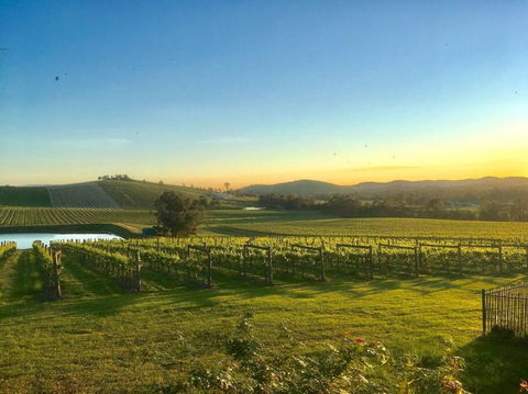 Mount Hope Estate Vineyard - Accommodation Port Hedland 0