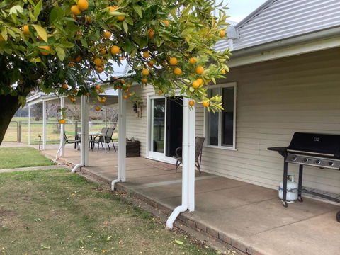 Orange Tree Cottage - Accommodation Port Hedland 0