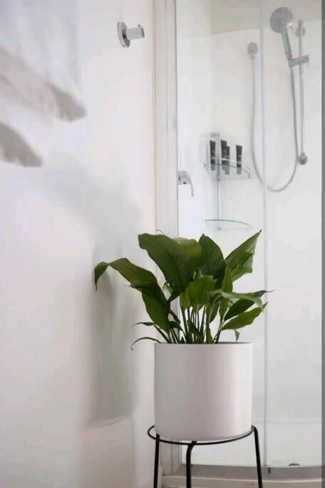 Poppies Retreat - Accommodation Port Hedland 2