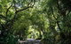 Port Douglas Mirage Villa 433 - Beachfront - thumb 3