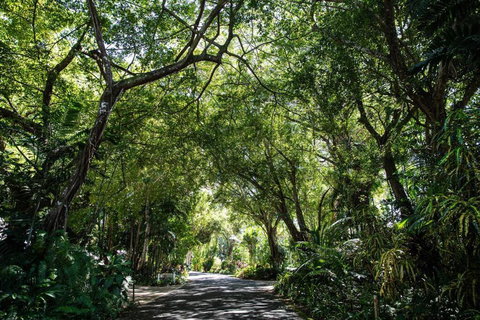 Port Douglas Mirage Villa 433 - Beachfront - Accommodation Port Hedland 3