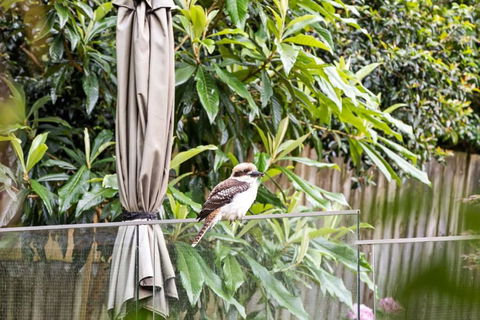 Quaint Queen Room - Central Location At Pymble - Shared Bathroom - Accommodation Port Hedland 1