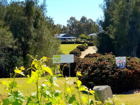 Red Door Collective - RDC Vineyard Estate, Luxury Adult Only Stay - Accommodation Port Hedland 0
