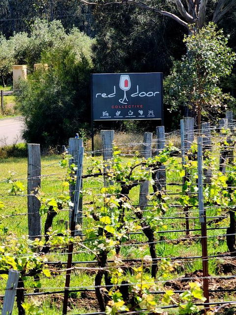 Red Door Collective - RDC Vineyard Estate, Luxury Adult Only Stay - Accommodation Port Hedland 1