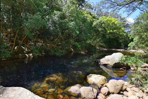 Rainforest River Retreat Kangaroo Valley - Accommodation Port Hedland 1