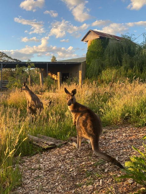 Private Country Escape With Valley Views - Accommodation Port Hedland 2