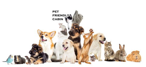 Australian Motor Homes Tourist Park - Accommodation Port Hedland 1