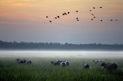 Bamurru Plains - Accommodation Port Hedland 0