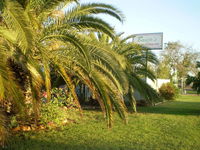 Book Winton Accommodation Vacations Accommodation Port Hedland Accommodation Port Hedland