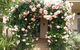 Baudins Of Busselton Bed And Breakfast - thumb 0