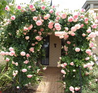Baudins of Busselton Bed and Breakfast - Accommodation Port Hedland