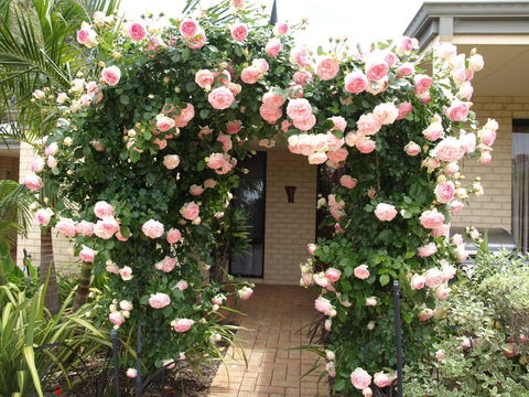 Baudins Of Busselton Bed And Breakfast - Accommodation Port Hedland 0