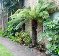 Beachfront Apartments - Accommodation Port Hedland