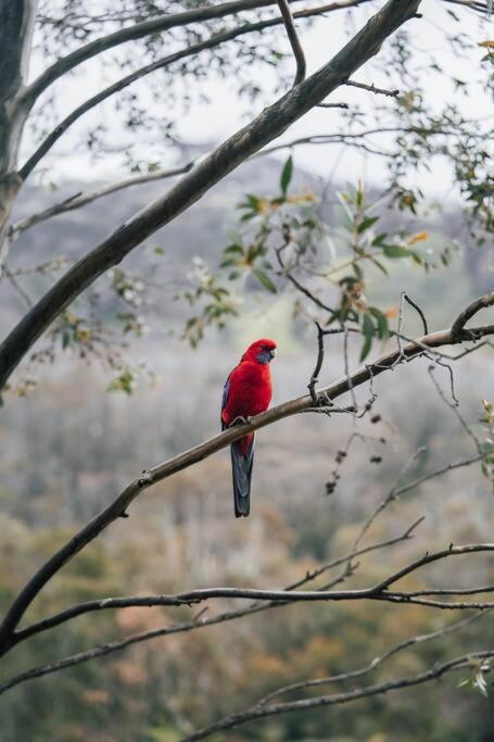 Riverside Cabin 18 Thredbo - Accommodation Port Hedland 1