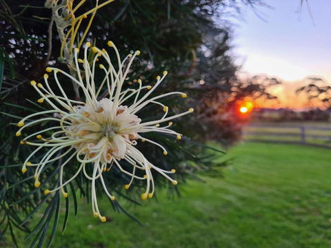 Redgate Forest Retreat - Accommodation Port Hedland 1
