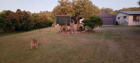 Roo Or 2 On Streeter - Accommodation Port Hedland 1