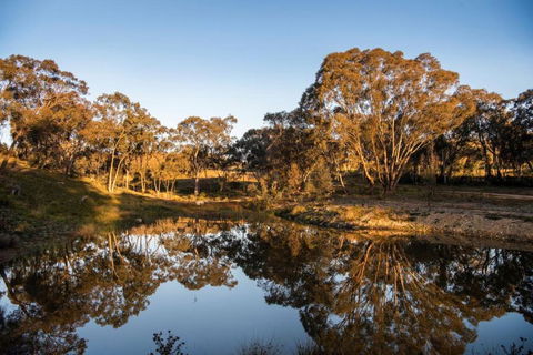 Rose Quartz - 1 Bed With Mountain Views - Kundalini Lodge - Accommodation Port Hedland 1