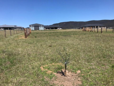 Rosehill Vines - Accommodation Port Hedland 3