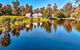 Secluded Rural Retreat In Southwest WA - thumb 0