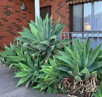 Beautiful Bedroom in Bentleigh East - Accommodation Port Hedland