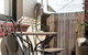 Beautiful Modern Historic Home Near Sydney Harbour - thumb 3