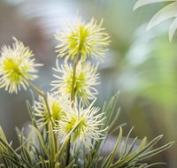 Bessou - Accommodation Port Hedland