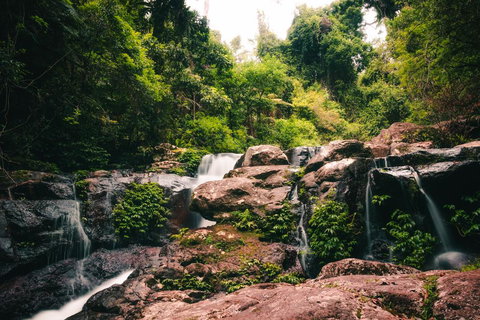 Binna Burra Rainforest Campsite - Accommodation Port Hedland 3