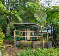 Binna Burra Rainforest Campsite - Accommodation Port Hedland