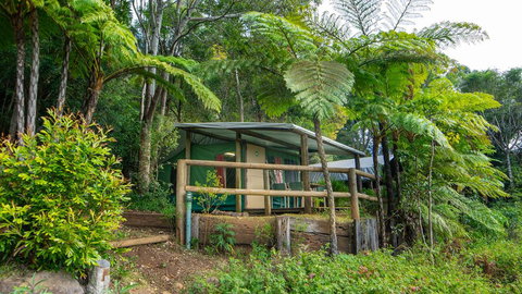 Binna Burra Rainforest Campsite - Accommodation Port Hedland 0