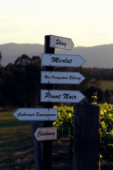 Blueberry Hill Vineyard Villa - Accommodation Port Hedland 3