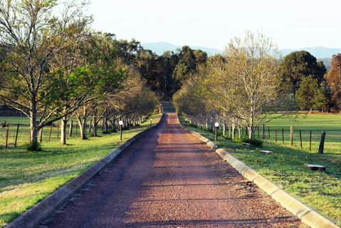 Blueberry Hill Vineyard Villa - Accommodation Port Hedland 0