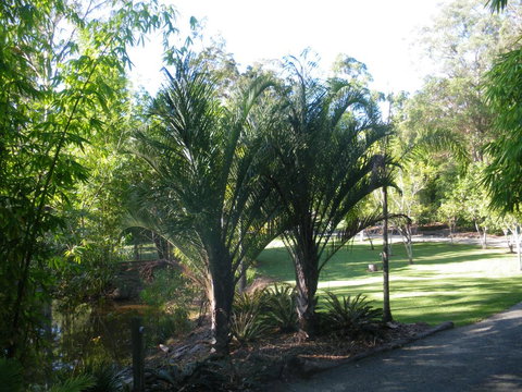 BoBRENE On Tamborine Nude Retreat - Quaint Cottage - Accommodation Port Hedland 2