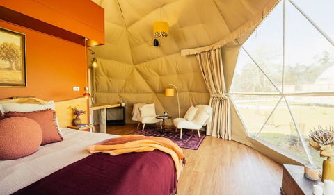 Wilder Tasmania - Accommodation Port Hedland 3