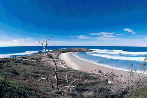Yamba Central - Accommodation Port Hedland 3