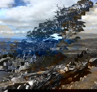 kunanyi / Mt Wellington Explorer Bus - 2 Hour Return Tour - Accommodation Port Hedland