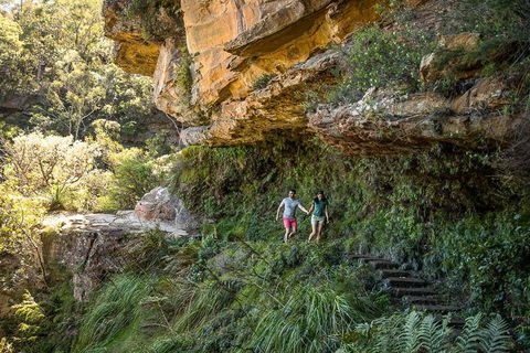 Private Guided: Blue Mountains Hiking & Nature Tour - Accommodation Port Hedland 2