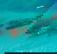 Private Tangalooma Wrecks Tour - Accommodation Port Hedland