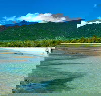 5-Day Best of Cairns with Daintree Kuranda and Great Barrier Reef - Accommodation Port Hedland