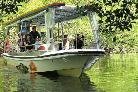 5-Day Best Of Cairns With Daintree, Kuranda, And Great Barrier Reef - Accommodation Port Hedland 1