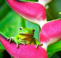 3-Day Best of Cairns Combo The Daintree Rainforest Great Barrier Reef and Kuranda - Accommodation Port Hedland