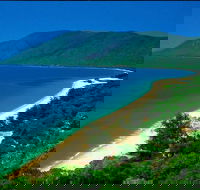 Cairns Reef and Rainforest Combo Daintree Rainforest and the Great Barrier Reef - Accommodation Port Hedland