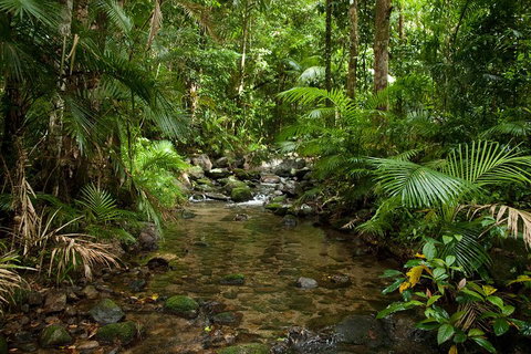 Cairns Reef And Rainforest Combo: Daintree Rainforest And The Great Barrier Reef - Accommodation Port Hedland 1