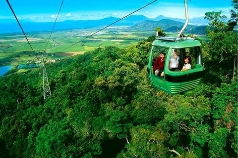 4-Day Cairns Ultimate Combo: Daintree Rainforest, Reef, Kuranda & Paronella Park - Accommodation Port Hedland 1