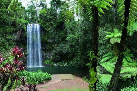 Paronella Park And Millaa Millaa Falls Full-day Tour From Cairns - Accommodation Port Hedland 3
